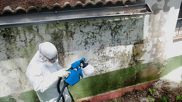 Top rated local Mold Cleanup specialists in Gettysburg, PA